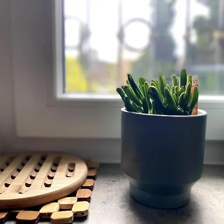 Design Naehe Duesseldorf